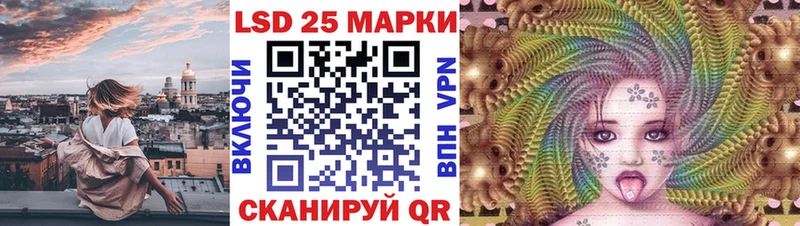 Купить закладки  Вязники  Марки NBOMe 1500мкг 