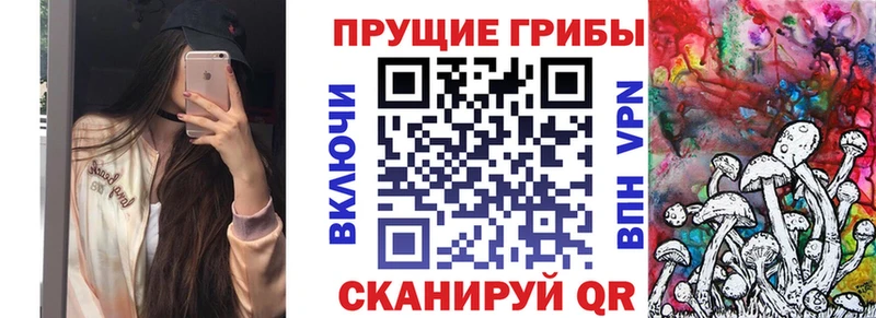 Купить где  Вязники  Псилоцибиновые грибы мицелий 